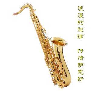 又脏又丑的老女人屄被男人日
